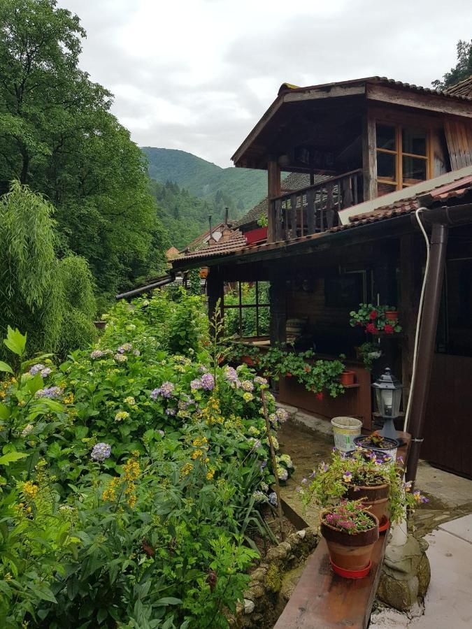 Pensiunea Mioritica Sibiel Esterno foto